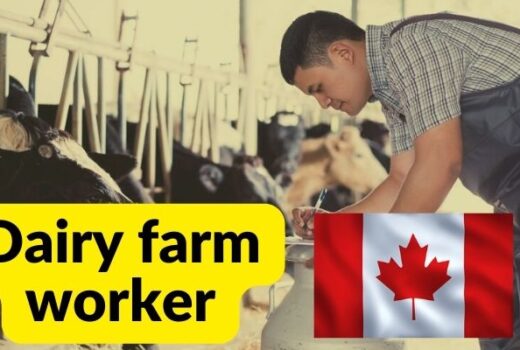 Dairy farm worker