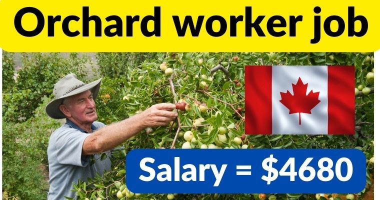 Orchard worker job