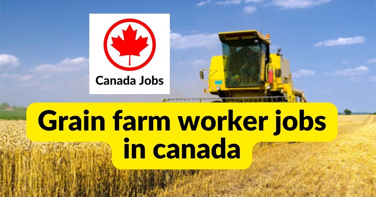 Grain farm worker jobs in canada