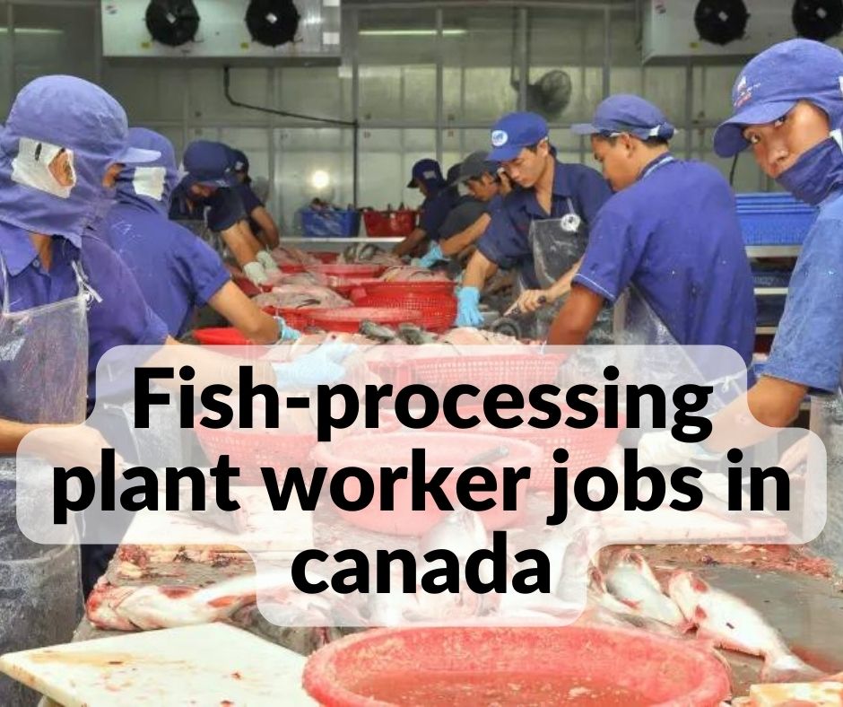 Fish-processing plant worker jobs in canada